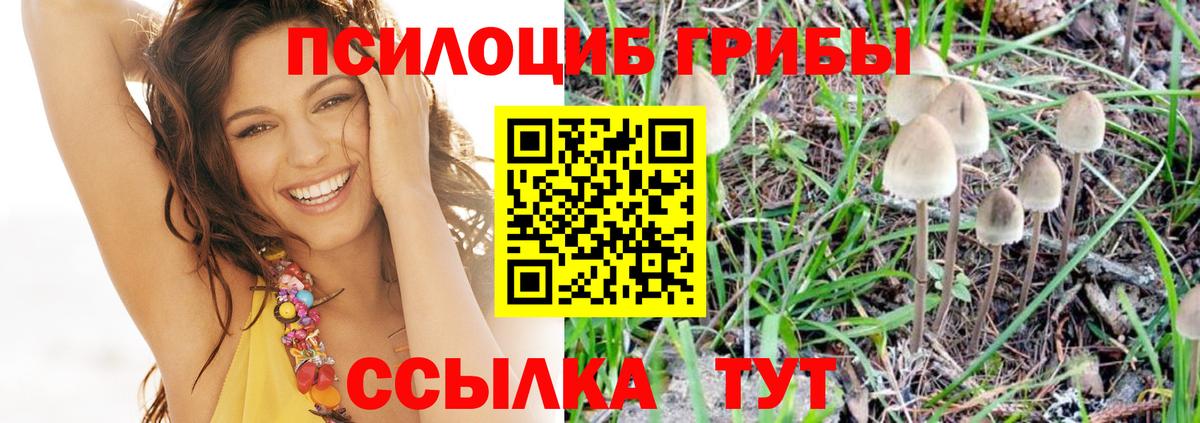 Галлюциногенные грибы Cubensis Белебей